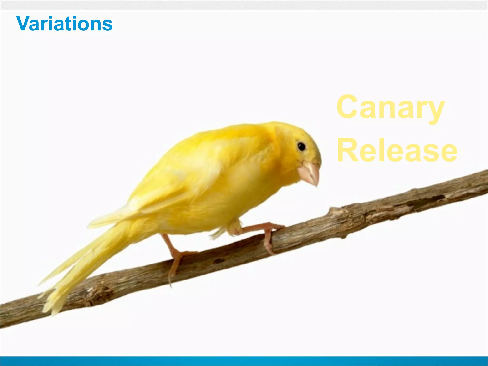 Variations



             Canary
             Release
 