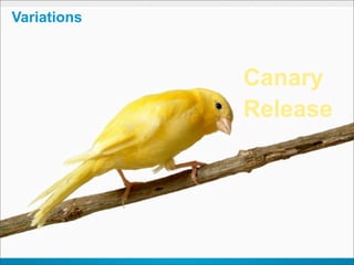 Variations



             Canary
             Release
 