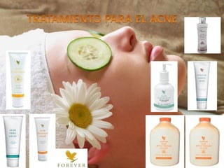 • Entre los muchos
productos que nos brindan
las abejas, el polen es uno de
los más completos y
energizantes.
• Este polen está fortificado
además con el néctar con el
que elaboran la miel, lo que
aumenta sus propiedades
nutritivas y los beneficios
para la salud.
• El polen contiene proteínas
(casi todos los aminoácidos
esenciales), y es la mayor
fuente conocida de vitaminas,
minerales e hidratos de
carbono
• Es reconstituyente cerebral ya
que es rica en hierro, sodio y
ácido fosfórico, alimento
esencial para las células
nerviosas
•
• La maca legendaria del Perú
puede fomentar la líbido, el
vigor y la energía.
• La maca es una fuente
maravillosa de nutrientes
vitales naturales. La sinergia
de tantos aminoácidos,
vitaminas, y minerales en
sus estados naturales puede
incrementar la asimilación,
absorción, y utilización de
ellos por el cuerpo,
resultando ser un multi-
vitamínico natural.
• FOREVER FIZZ
• Deliciosa tableta efervescente
que ayuda de manera rápida a
tu organismo recuperar las
sales minerales, entrega
energía inmediata a tu cuerpo
con la ventaja de ser natural,
no contiene cafeina. eleva el
ánimo e incrementa la .
 