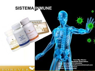 VíctorHugo Ramírez
DistribuidorIndependiente.
Móvil: 3214367474 Colombia.
Email : naturalmenteforever@hotmail.com
Skype: victorh_ramirez
twitter: @vhramirezflp
SISTEMA INMUNE
 