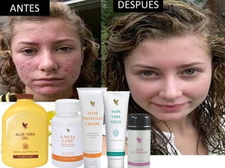 VíctorHugo Ramírez
DistribuidorIndependiente.
Móvil: 3214367474 Colombia.
Email : naturalmenteforever@hotmail.com
Skype: victorh_ramirez
twitter: @vhramirezflp
SISTEMA INMUNE
 