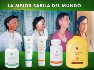 VíctorHugo Ramírez
DistribuidorIndependiente.
Móvil: 3214367474 Colombia.
Email : naturalmenteforever@hotmail.com
Skype: victorh_ramirez
twitter: @vhramirezflp
SISTEMA INMUNE
 