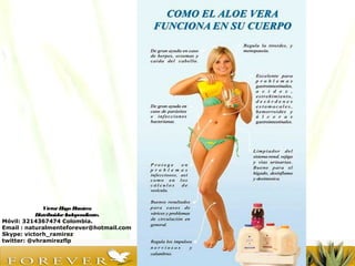 VíctorHugo Ramírez
DistribuidorIndependiente.
Móvil: 3214367474 Colombia.
Email : naturalmenteforever@hotmail.com
Skype: victorh_ramirez
twitter: @vhramirezflp
 