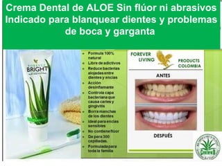 VíctorHugo Ramírez
DistribuidorIndependiente.
Móvil: 3214367474 Colombia.
Email : naturalmenteforever@hotmail.com
Skype: victorh_ramirez
twitter: @vhramirezflp
SISTEMA INMUNE
Crema Dental de ALOE Sin flúor ni abrasivos
Indicado para blanquear dientes y problemas
de boca y garganta
 