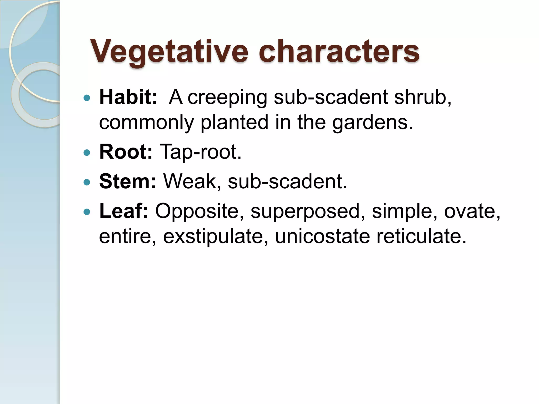 Vegetative characters
 Habit: A creeping sub-scadent shrub,
commonly planted in the gardens.
 Root: Tap-root.
 Stem: Weak, sub-scadent.
 Leaf: Opposite, superposed, simple, ovate,
entire, exstipulate, unicostate reticulate.
 