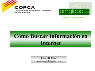Como Buscar Información en Internet “ b uilding up business strategies” Pitusa Bolaño  www.amglobalspain.com 