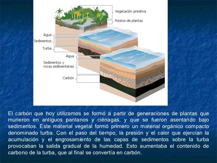 Combustibles Carbono Y Petroleo