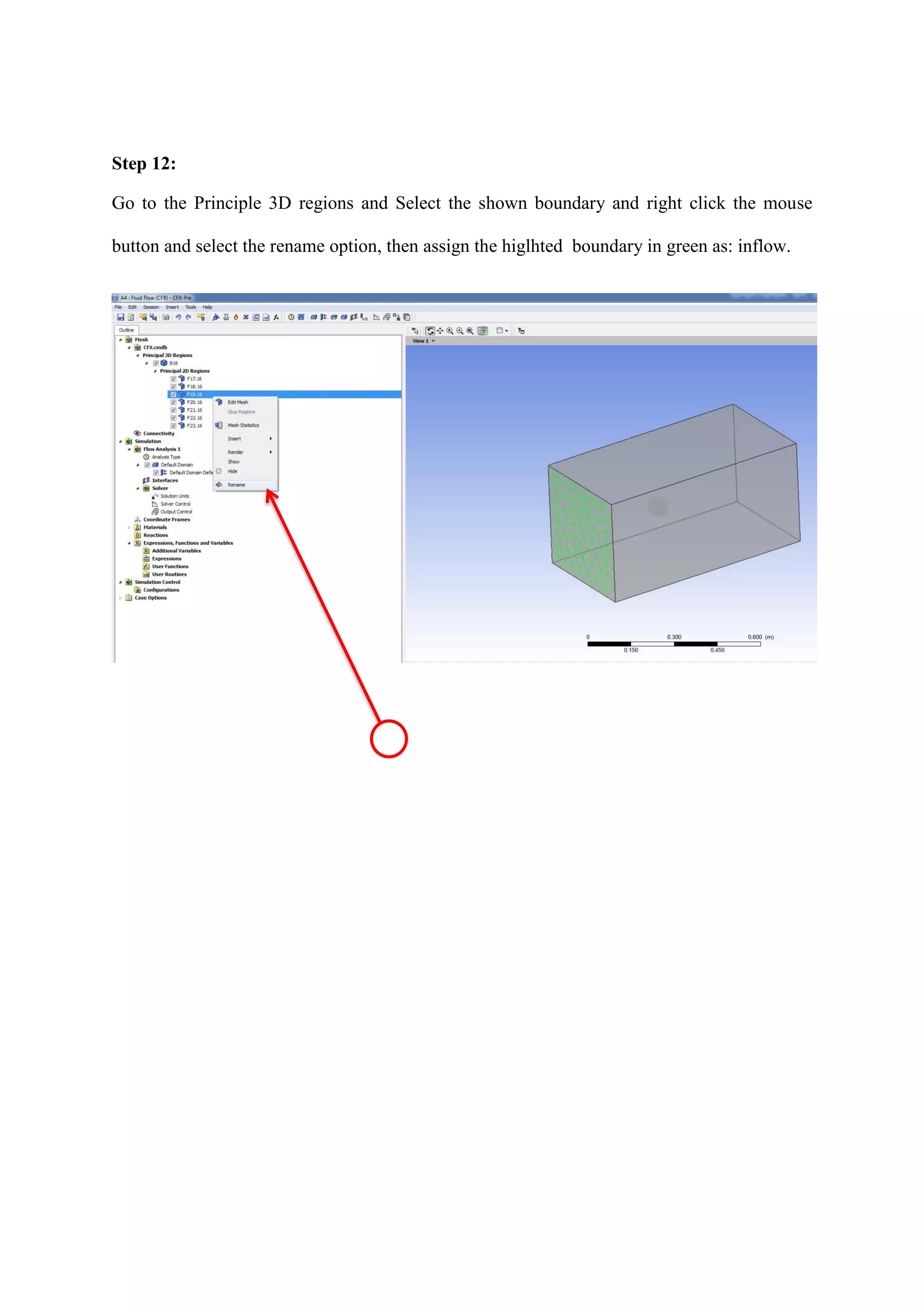 Step 12: 
Go to the Principle 3D regions and Select the shown boundary and right click the mouse button and select the rename option, then assign the higlhted boundary in green as: inflow. 
 