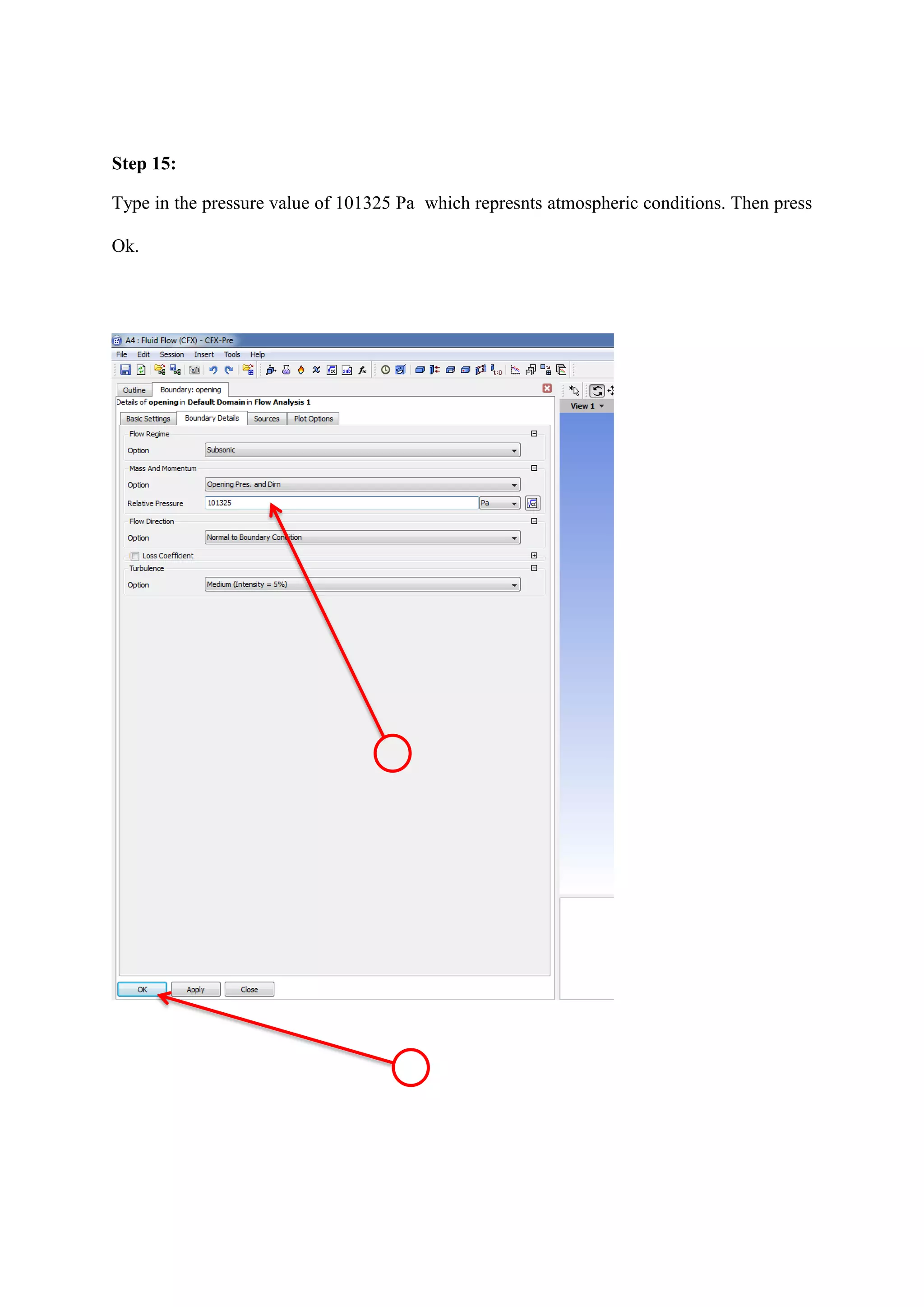 Step 15: 
Type in the pressure value of 101325 Pa which represnts atmospheric conditions. Then press Ok. 
 
