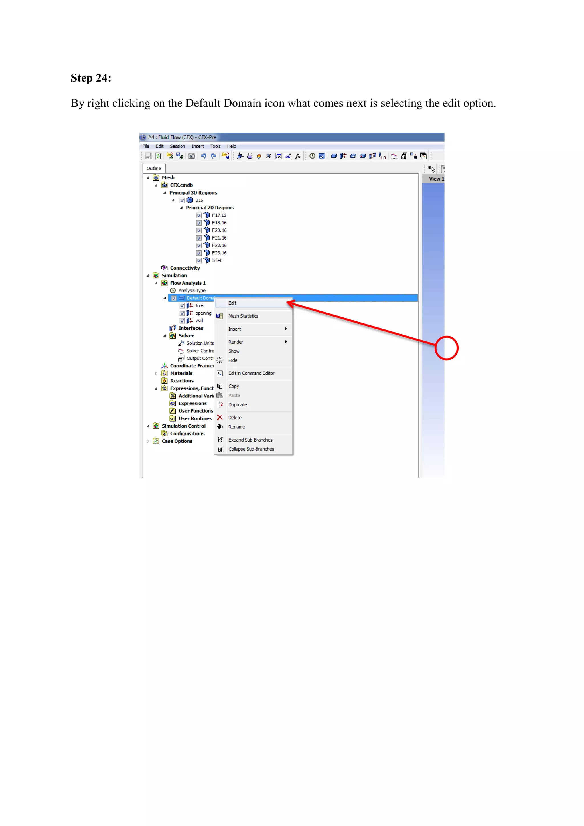 Step 24: 
By right clicking on the Default Domain icon what comes next is selecting the edit option. 
 
