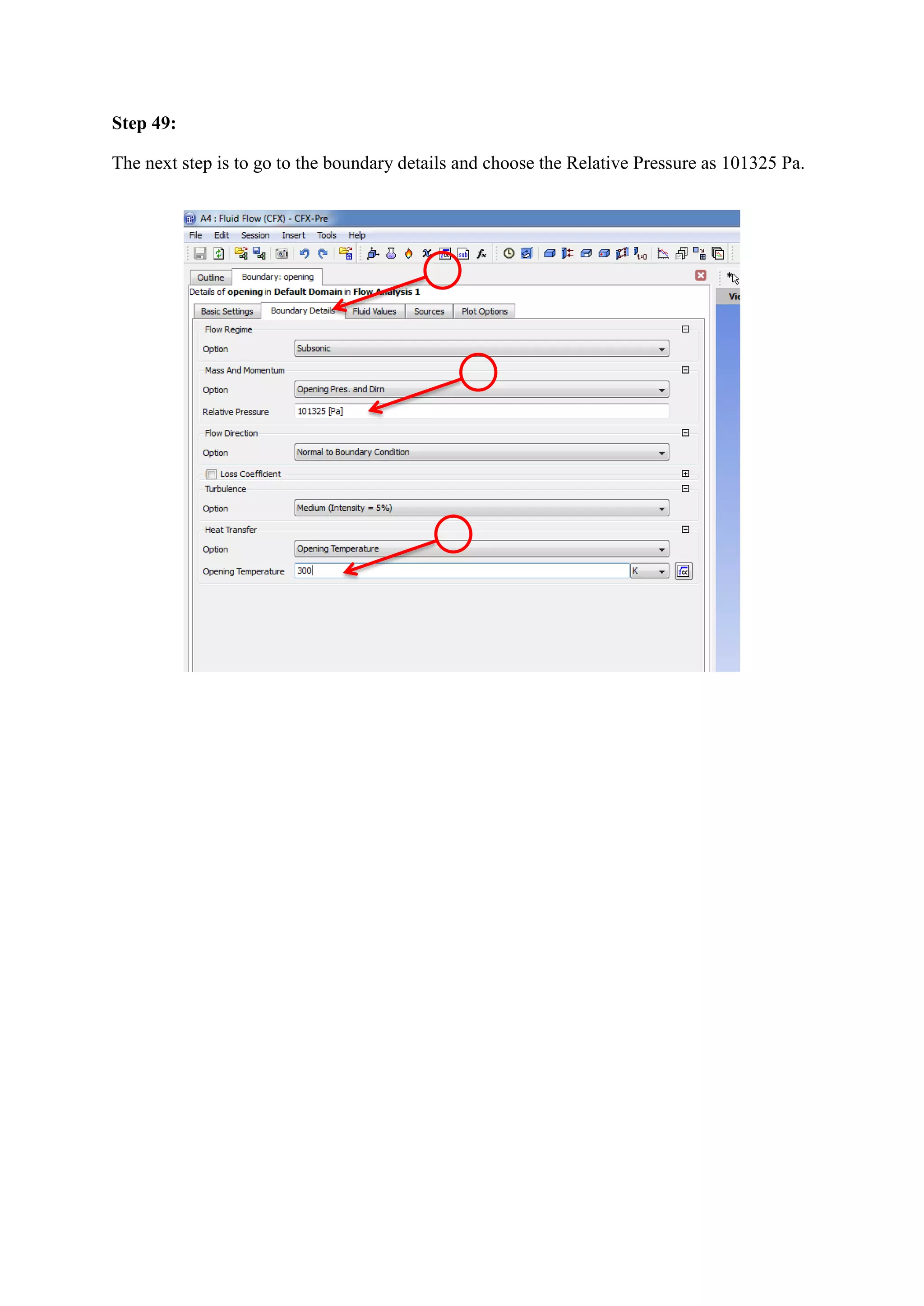 Step 49: 
The next step is to go to the boundary details and choose the Relative Pressure as 101325 Pa. 
 
