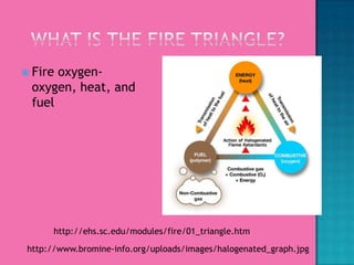 Combustion Reaction | PPTX