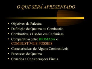 O QUE SERÁ APRESENTADO


• Objetivos da Palestra
• Definição de Queima ou Combustão
• Combustíveis Usados em Cerâmicas
• Comparativo entre BIOMASA e
  COMBUSTÍVEIS FÓSSEIS
• Características de Alguns Combustíveis
• Processos de Queima
• Cenários e Considerações Finais
 