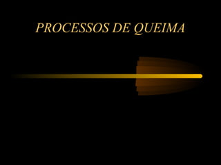 PROCESSOS DE QUEIMA
 