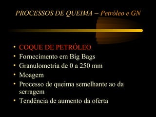 PROCESSOS DE QUEIMA – Petróleo e GN



• COQUE DE PETRÓLEO
• Fornecimento em Big Bags
• Granulometria de 0 a 250 mm
• Moagem
• Processo de queima semelhante ao da
  serragem
• Tendência de aumento da oferta
 