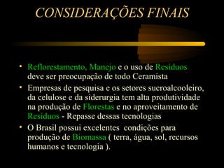 CONSIDERAÇÕES FINAIS


• Reflorestamento, Manejo e o uso de Resíduos
  deve ser preocupação de todo Ceramista
• Empresas de pesquisa e os setores sucroalcooleiro,
  da celulose e da siderurgia tem alta produtividade
  na produção de Florestas e no aproveitamento de
  Resíduos - Repasse dessas tecnologias
• O Brasil possui excelentes condições para
  produção de Biomassa ( terra, água, sol, recursos
  humanos e tecnologia ).
 
