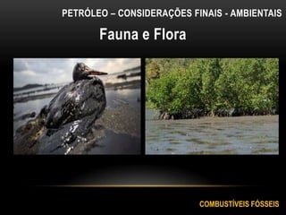 Fauna e Flora
PETRÓLEO – CONSIDERAÇÕES FINAIS - AMBIENTAIS
COMBUSTÍVEIS FÓSSEIS
 