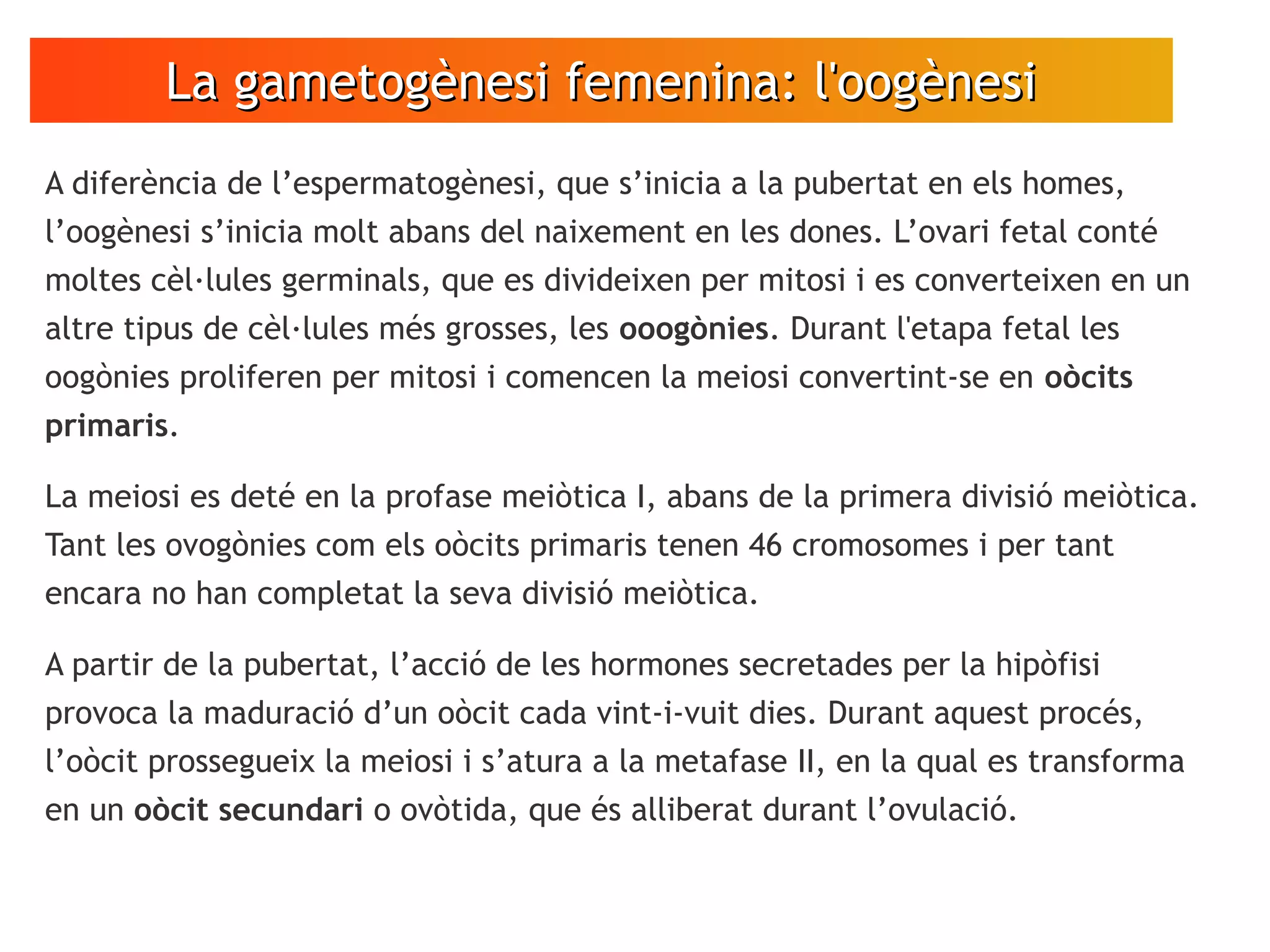 La gametogènesi femenina: l'oogènesiLa gametogènesi femenina: l'oogènesi
A diferència de l’espermatogènesi, que s’inicia a la pubertat en els homes,
l’oogènesi s’inicia molt abans del naixement en les dones. L’ovari fetal conté
moltes cèl·lules germinals, que es divideixen per mitosi i es converteixen en un
altre tipus de cèl·lules més grosses, les ooogònies. Durant l'etapa fetal les
oogònies proliferen per mitosi i comencen la meiosi convertint-se en oòcits
primaris.
La meiosi es deté en la profase meiòtica I, abans de la primera divisió meiòtica.
Tant les ovogònies com els oòcits primaris tenen 46 cromosomes i per tant
encara no han completat la seva divisió meiòtica.
A partir de la pubertat, l’acció de les hormones secretades per la hipòfisi
provoca la maduració d’un oòcit cada vint-i-vuit dies. Durant aquest procés,
l’oòcit prossegueix la meiosi i s’atura a la metafase II, en la qual es transforma
en un oòcit secundari o ovòtida, que és alliberat durant l’ovulació.
 
