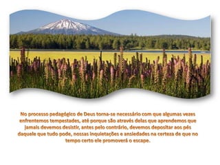 No processo pedagógico de Deus torna-se necessário com que algumas vezes enfrentemos tempestades, até porque são através delas que aprendemos que jamais devemos desistir, antes pelo contrário, devemos depositar aos pés daquele que tudo pode, nossas inquietações e ansiedades na certeza de que no tempo certo ele promoverá o escape.