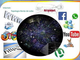 Internet:
Topologia Dente de Leão:
 