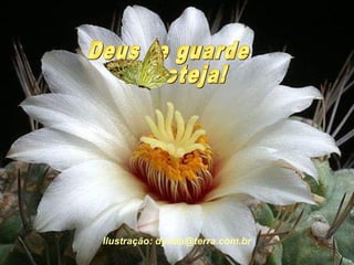 Ilustração: dynda@terra.com.br 
