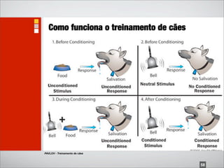 Como funciona o treinamento de cães




PAVLOV - Treinamento de cães



                                         58
 