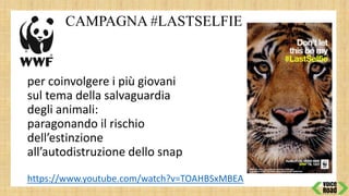 CAMPAGNA#LASTSELFIE
per coinvolgere i più giovani
sul tema della salvaguardia
degli animali:
paragonando il rischio
dell’estinzione
all’autodistruzione dello snap
https://www.youtube.com/watch?v=TOAHBSxMBEA
 