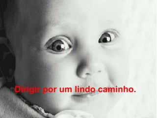 Dirigir por um lindo caminho.  