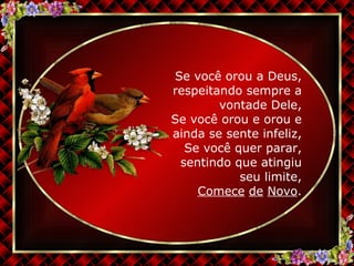 Se você orou a Deus, respeitando sempre a vontade Dele, Se você orou e orou e ainda se sente infeliz, Se você quer parar, sentindo que atingiu seu limite, Comece   de   Novo . 
