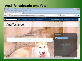 Aqui  foi colocado uma foto.
