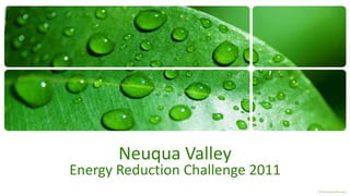 Neuqua Valley
Energy Reduction Challenge 2011
 