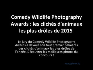 Comedy Wildlife Photography
Awards : les clichés d'animaux
les plus drôles de 2015
Le jury du Comedy Wildlife Photography
Awards a dévoilé son tout premier palmarès
des clichés d'animaux les plus drôles de
l'année. Découvrez les meilleures photos du
concours !
http://planet.fr/Proposé par
Paulajo
 