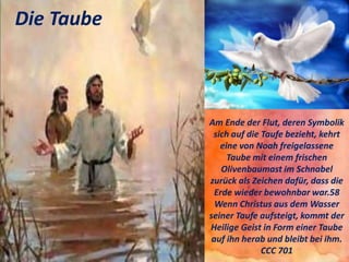 Am Ende der Flut, deren Symbolik
sich auf die Taufe bezieht, kehrt
eine von Noah freigelassene
Taube mit einem frischen
Olivenbaumast im Schnabel
zurück als Zeichen dafür, dass die
Erde wieder bewohnbar war.58
Wenn Christus aus dem Wasser
seiner Taufe aufsteigt, kommt der
Heilige Geist in Form einer Taube
auf ihn herab und bleibt bei ihm.
CCC 701
Die Taube
 