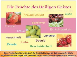 Diese "mächtigen Werke Gottes", die den Gläubigen an die Sakramente der Kirche
angeboten werden, tragen ihre Früchte im neuen Leben in Christus gemäß dem Geist CCC 740
 