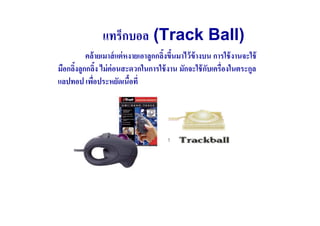 แทร็กบอล (Track Ball)
          คล้ ายเมาส์ แต่ หงายเอาลูกกลิงขึนมาไว้ ข้างบน การใช้ งานจะใช้
มือกลิงลูกกลิง ไม่ ค่อนสะดวกในการใช้ งาน มักจะใช้ กบเครื(องในตระกูล
                                                      ั
แลปทอป เพือประหยัดเนือที(
            (
 