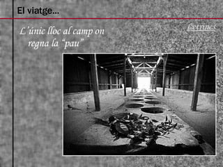 L’únic lloc al camp on regna la “pau” El viatge... Letrines 