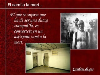 El que se suposa que ha de ser una dutxa tranquil·la, es converteix en un asfixiant camí a la mort. El camí a la mort... Cambres de gas 