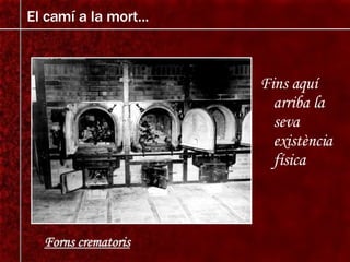 Fins aquí arriba la seva existència física El camí a la mort... Forns crematoris 