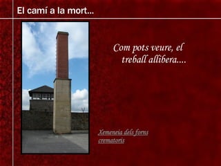 Com pots veure, el treball allibera.... El camí a la mort... Xemeneia dels forns crematoris 