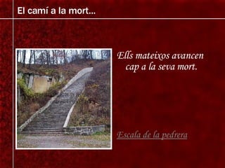 Ells mateixos avancen cap a la seva mort. Escala de la pedrera El camí a la mort... 