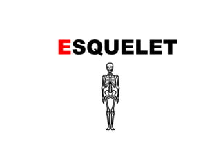 ESQUELET 
