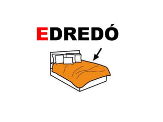 EDREDÓ 
 
