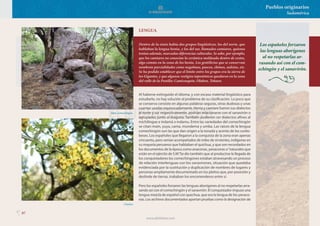 97
Pueblos originarios
Sudamérica
Dentro de la etnia había dos grupos lingüísticos, los del norte, que
hablaban la lengua henia, y los del sur, llamados camiares, quienes
tenían además, marcadas diferencias culturales. Se sabe, por ejemplo,
que los camiares no conocían la cerámica moldeada dentro de cestos,
algo común en la zona de los henia. Los gentilicios que se conservan
nombran parcialidades como nogolmas, pascos, chimes, auletas, etc.
Se ha podido establecer que el límite entre los grupos era la sierra de
los Gigantes, y que algunos vestigios toponímicos quedaron en la zona
del valle de la Punilla: Camicosquin, Olahen, Tohaen.
LENGUA
Al haberse extinguido el idioma, y con escaso material lingüístico para
estudiarlo, no hay solución al problema de su clasificación. Lo poco que
se conserva consiste en algunas palabras seguras, otras dudosas y unas
cuantas usadas equivocadamente. Henia y camiare fueron sus dialectos
al norte y sur respectivamente, podrían relacionarse con el sanavirón o
agrupados junto al diaguita. También pudieron ser dialectos afines al
michilingue e indamá o indamu. Entre las variedades del comechingón
se citan main, yuya, cama, mundema y umba. Las raíces de la lengua
comechingón son las que dan origen a la tonada y acento de los cordo-
beses. Los españoles que llegaron a la conquista de la zona eran apenas
cincuenta, pero venían acompañados de miles de sirvientes, indígenas en
su mayoría peruanos que hablaban el quichua, y que son recordados en
los documentos de la época como anaconas, yanaconas o“naturales que
están en el ejército de S.M.”Se dio también que al producirse la llegada de
los conquistadores los comechingones estaban atravesando un proceso
de relación interlenguas con los sanavirones, situación que quedaba
evidenciada por la sustitución y duplicación de nombres de lugares y
personas ampliamente documentado en los pleitos que, por posesión y
deslinde de tierras, trababan los encomenderos entre sí.
Pero los españoles forzaron las lenguas aborígenes al no respetarlas arra-
sando así con el comechingón y el sanavirón. El conquistador impuso una
lengua mezcla de español con quechua, que era la lengua de los yanaco-
nas. Los archivos documentados aportan pruebas como la designación de
Altar comechingón.
Chañar.
Los españoles forzaron
las lenguas aborígenes
al no respetarlas ar-
rasando así con el com-
echingón y el sanavirón.
www.elbibliote.com
 