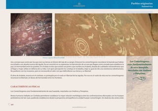 103
Pueblos originarios
Sudamérica
ríos y arroyos que corren por las que eran sus tierras se tiñeron del rojo de su sangre. Entonces los comechingones recordaron la leyenda que habían
escuchado a sus abuelos acerca del águila. Esa se convirtió en su esperanza, la intervención de un ave que llegara como enviado para establecer la
paz y la hermandad entre los pueblos. En el relato se dice que existió una joven cuyo nombre era Arabela, dotada de cualidades extraordinarias que
al llegar a mujer utilizo en defensa de su tribu. Con gran percepción los condujo en la batalla y bajo su guía les dio una resistencia sobrehumana.
No pudieron con los invasores, pero es reconocido el valor con que defendieron sus tierras y su libertad.
El alma de Arabela, muerta en el combate, es protegida por el vuelo en libertad de las águilas. Por eso en el vuelo de esta ave los comechingones
reconocen la libertad y el deseo de hermandad entre los hombres.
CARACTERÍSTICAS FÍSICAS
Los Comechingones eran fundamentalmente de raza huarpida, mezclados con Andinos y Pampinos.
Restos humanos hallados en Córdoba permitieron establecer la mayor relación morfológica entre las confrontaciones efectuadas con los huarpes
prehistóricos de San Juan, pudiendo establecerse desde la perspectiva antropofísica la unidad huarpe-comechingón. Sin duda las dos series están
Pinturas rupestres de Cerro Colorado.
Los Comechingones
eran fundamentalmente
de raza huarpida,
mezclados con Andinos
y Pampinos.
www.elbibliote.com
 