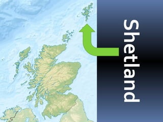 Shetland
 