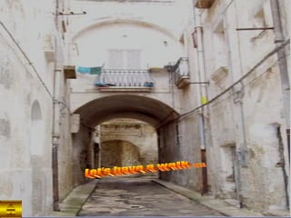 Let’s have a walk …. 