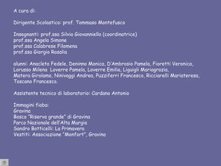 A cura di: Dirigente Scolastico: prof. Tommaso Montefusco Insegnanti: prof.ssa Silvia Giovanniello (coordinatrice) prof.ssa Angela Simone prof.ssa Calabrese Filomena prof.ssa Giorgio Rosalia alunni: Anacleto Fedele, Deninno Monica, D’Ambrosio Pamela, Fioretti Veronica,  Lorusso Milena  Loverre Pamela, Loverre Emilia, Liguigli Mariagrazia, Matera Girolamo, Ninivaggi Andrea, Puzziferri Francesco, Ricciarelli Mariateresa, Toscano Francesco. Assistente tecnico di laboratorio: Cardano Antonio Immagini fiaba: Gravina Bosco “Riserva grande” di Gravina Parco Nazionale dell’Alta Murgia Sandro Botticelli: La Primavera Vestiti: Associazione “Monfort”, Gravina  