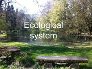 Ecological
system
 