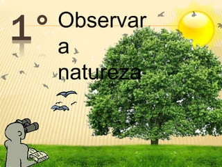 1°Observar 
a 
natureza 
 