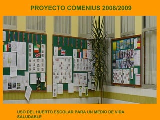 PROYECTO COMENIUS 2008/2009 USO DEL HUERTO ESCOLAR PARA UN MEDIO DE VIDA SALUDABLE 
